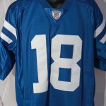 Peyton Manning Colts Jersey - Mississippi Sports Hall of Fame